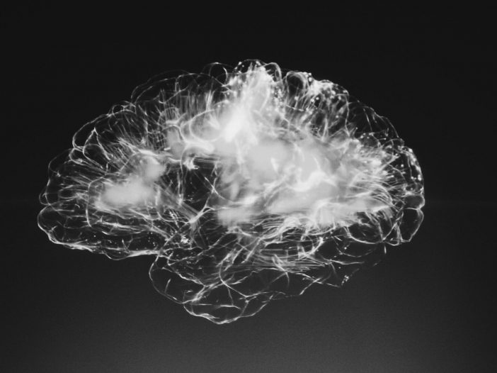 Xray styled image of a human brain.